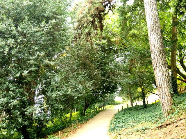 Jardin des plantes- 植物公園---散步巴黎
